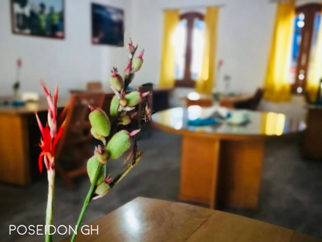 Poseidon Guest House Iquitos Exteriör bild